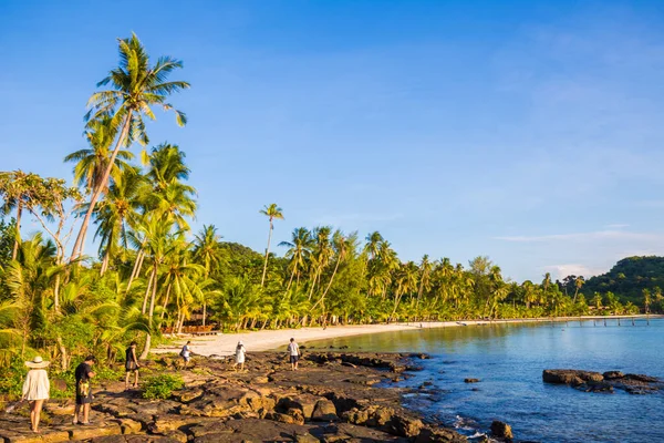 Beautiful sea wave beach with coconut palm tree sunny day summer vacation concept