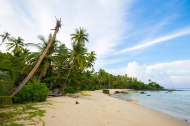 Beautiful sea wave beach with coconut palm tree sunny day summer vacation concept