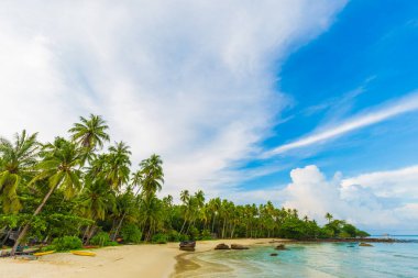 Beautiful sea wave beach with coconut palm tree sunny day summer vacation concept