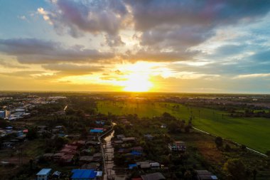 Yeşil pirinç tarlası tarım endüstrisinde hava manzaralı günbatımı ışığı