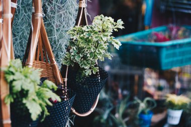 Küçük fabrika işçiliğiyle el yapımı sepet saksısı