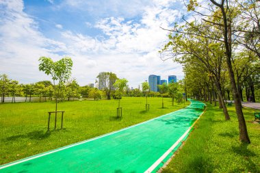 Şehir parkında boş yeşil bisiklet pisti güneşli gün açık hava aktivitesi
