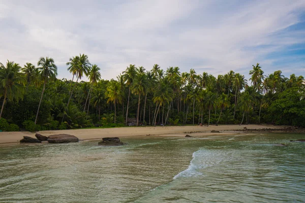 Ada Sahili Hindistan Cevizi Palmiyesi Yaz Tatilinin Bulutlu Manzaralı Mavi — Stok fotoğraf