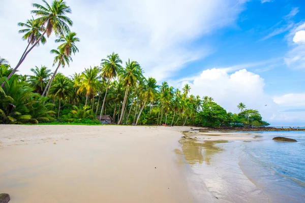 Ilha Mar Praia Coqueiro Palmeira Contra Céu Azul Com Cenário — Fotografia de Stock