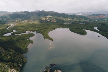 Hava manzaralı sabah güneşi yeşil mangrov ormanları deniz körfezi ekoloji doğa manzarası