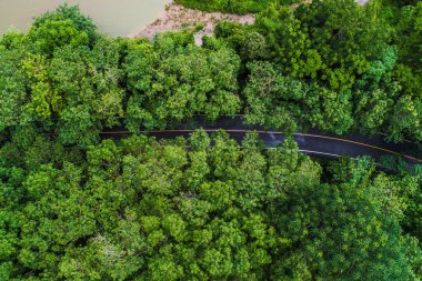 Ağaç Ormanı Park Taşımacılık Arkaplanı 'nda hava manzaralı asfalt yol