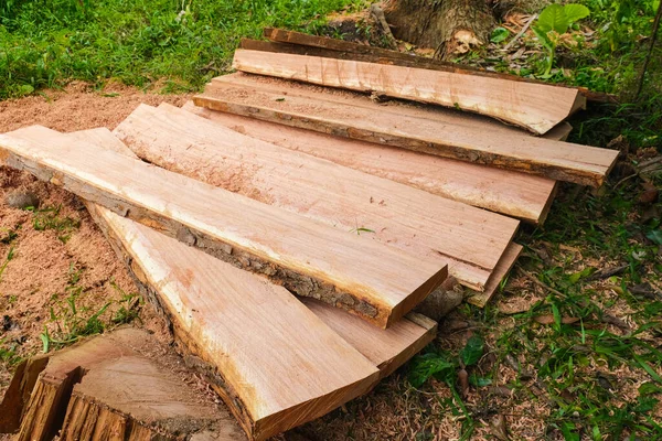 Wood cut in forest lumber industry stack on ground