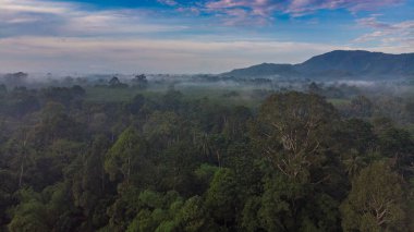 Sea rocky island bay against sun rise light nature landscape aerial view
