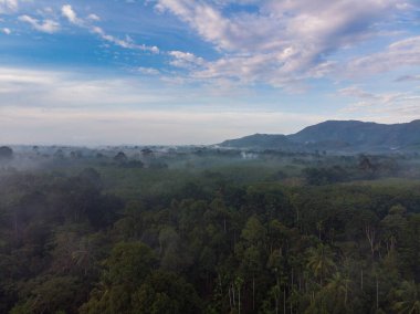 Sea rocky island bay against sun rise light nature landscape aerial view