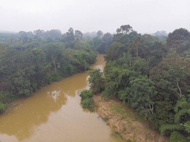 Aerial view tropical rain forest with canal river in morning sunrise with fog nature landscape