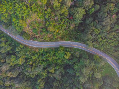 Aerial view asphalt rural road through green tree forest in mountain nature transport