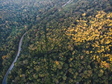 Aerial view asphalt rural road through green tree forest in mountain nature transport