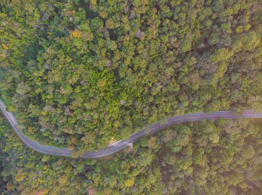 Aerial view asphalt rural road through green tree forest in mountain nature transport