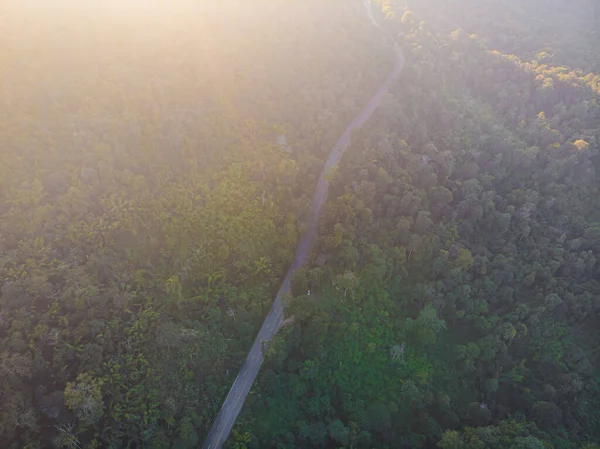 Aerial View Asphalt Rural Road Green Tree Forest Mountain Nature — ストック写真