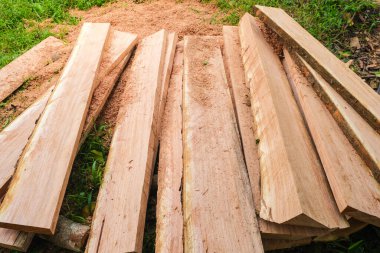 Wood cut in forest lumber industry stack on ground
