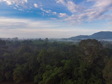 Sea rocky island bay against sun rise light nature landscape aerial view