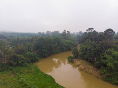 Aerial view tropical rain forest with canal river in morning sunrise with fog nature landscape