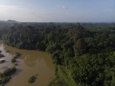 Aerial view tropical rain forest with canal river in morning sunrise with fog nature landscape