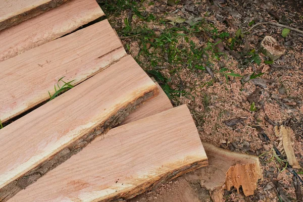 Wood cut in forest lumber industry stack on ground