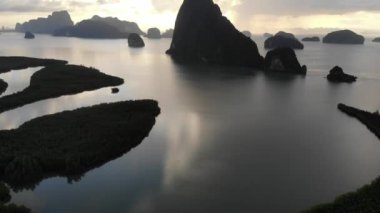 Hava manzaralı tropikal yağmur mangrov ormanları sabah güneşli doğa manzarası