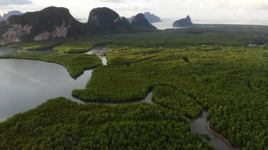 Tayland 'ın güzel yeşil tropikal ormanının hava görüntüleri.