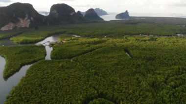 Tayland 'ın güzel yeşil tropikal ormanının hava görüntüleri.
