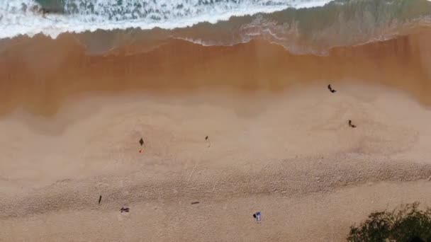 Вид Воздуха Пляж Морской Волны Белым Песком Летний Отдых Фоне — стоковое видео