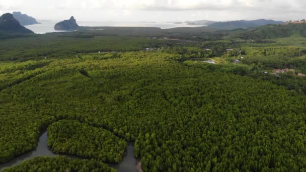 泰国美丽的绿色热带森林的航拍 — 图库视频影像