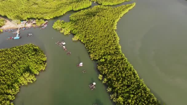 泰国美丽的绿色热带森林的航拍 图库视频