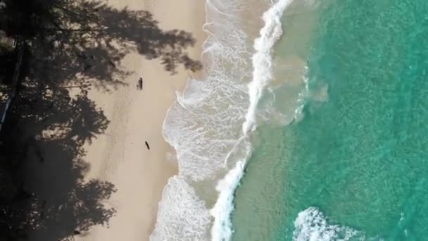 Aerial View Sea Wave Beach White Sand Summer Vacation Background — 图库视频影像