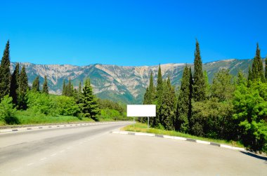 dağlarda Ladin ve servi ağaçlarının yol