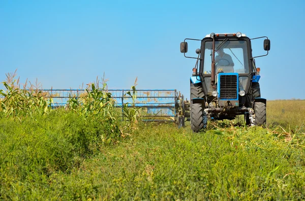 Vieux tracteur fauchant le maïs dans le champ gros plan — Photo