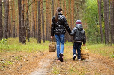 Children go looking for mushrooms on a footpath clipart