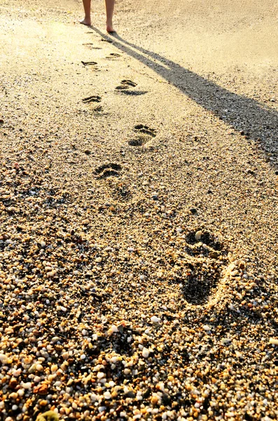 Empreintes de pas dans le sable — Photo