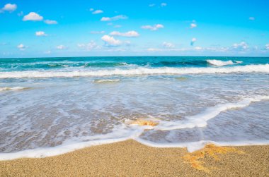 kayalık sahil üzerinde köpük ve deniz dalgası