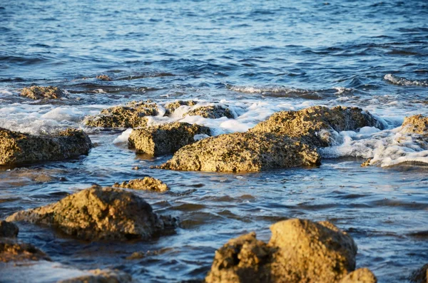 Rocks in the water on the coast — Stock Photo, Image