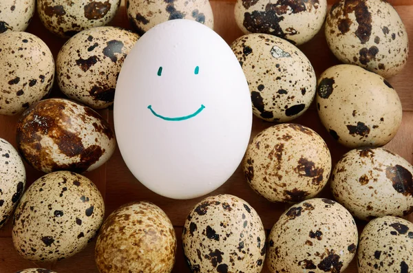 Quail eggs and one white smile egg in tray horizontal — Stock Photo, Image