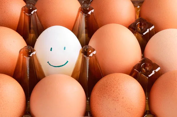 Brown  and one white smile eggs in tray horizontal — Stock Photo, Image