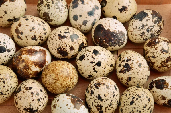 Quail eggs in tray horizontal — Stock Photo, Image