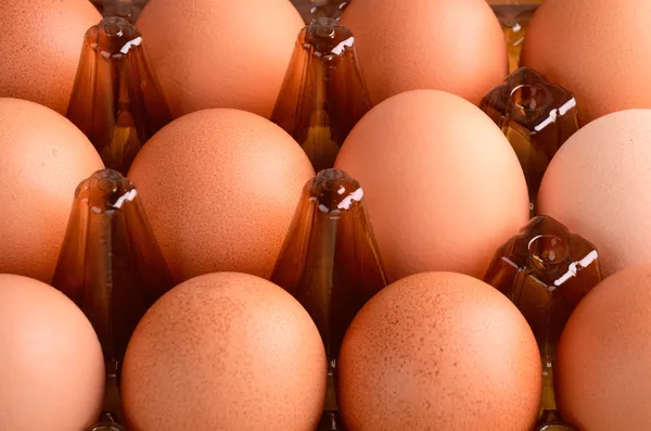 Brown eggs in tray horizontal — Stock Photo, Image