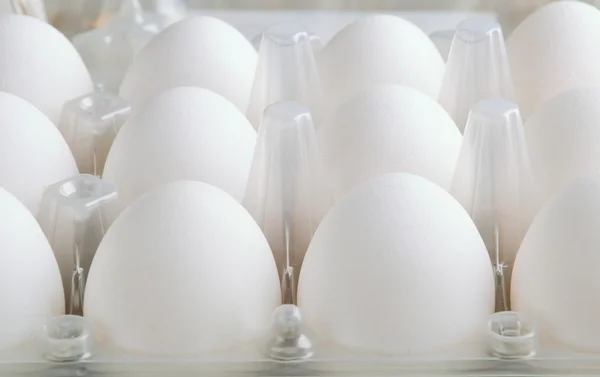 White eggs in tray horizontal — Stock Photo, Image