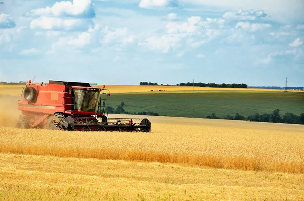 Красный комбайн собирает пшеницу в поле — стоковое фото