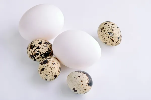 Quail and white eggs on the light background — Stock Photo, Image