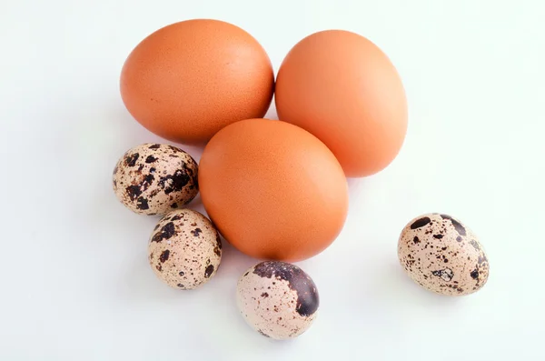 Quail and brown eggs on the light background — Stock Photo, Image