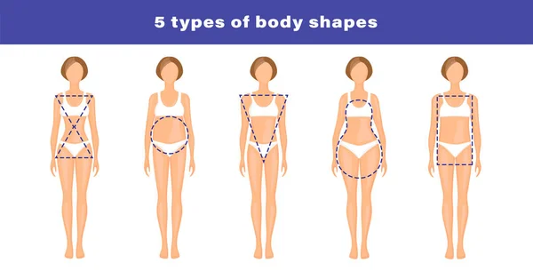 Cinco Diferentes Tipos Corpo Figuras Femininas Ilustração Vetorial Vetor De Stock