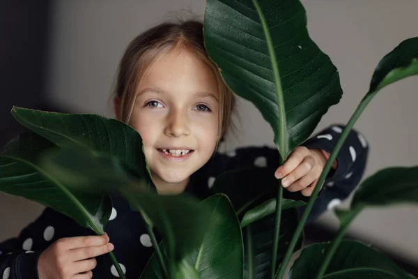 Ukryty portret słodkiej białej dziewczynki z rośliną Strelitzia w domu. Zieleń w nowoczesnym mieszkaniu. Kochaj i dbaj o rośliny, czas hobby. Kryty przytulny ogród z dużymi zielonymi liśćmi. — Zdjęcie stockowe