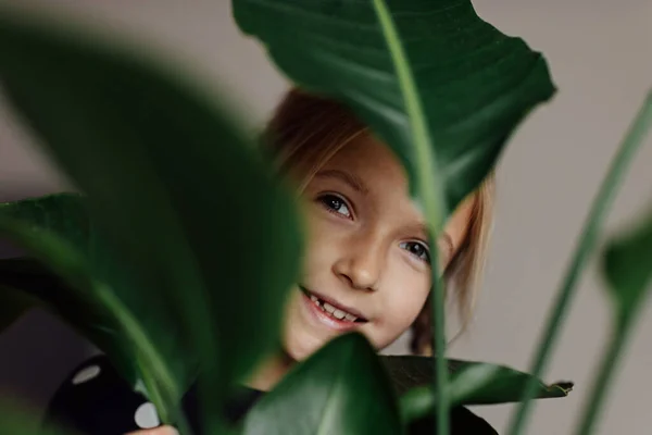 Retrato cándido de linda niña caucásica con planta de Strelitzia en casa. Verde en apartamento moderno. Ama y cuida de las plantas, tiempo de hobby. Acogedor jardín interior con grandes hojas verdes. —  Fotos de Stock