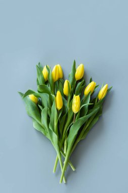 Gri arkaplandaki sarı lalelerden görüntüyü al. 8 Mart, Kadınlar Günü için Model. Düz yatış stili, üst görünüm, şablon, genel giderler. Tebrik kartı