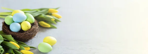 Latar belakang bergaya dengan telur Paskah berwarna-warni diisolasi di latar belakang beton abu-abu dengan bunga tulip kuning. Spanduk panjang horisontal untuk desain web. Rata lay, top view, mockup, overhead, template Stok Foto Bebas Royalti