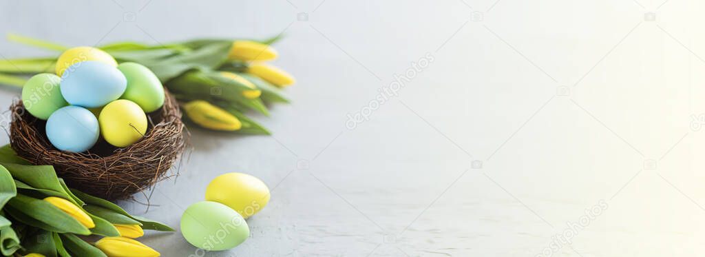 Stylish background with colorful easter eggs isolated on gray concrete background with yellow tulip flowers. Horizontal long banner for web design. Flat lay, top view, mockup, overhead, template